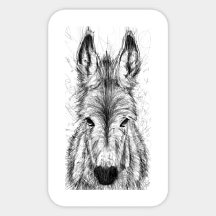 DONKEY pencil portrait .1 Sticker